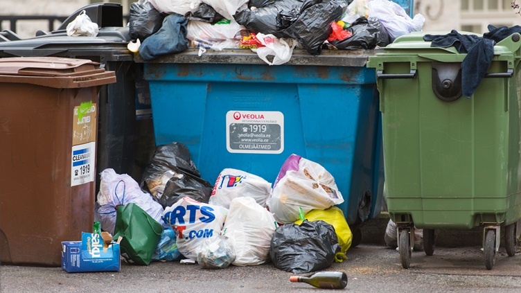 Nhap khau rac de san xuat dien hinh anh