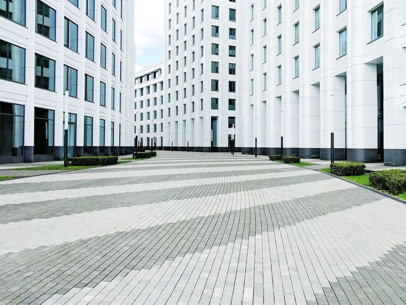 anh chup bang google pixel anh 1