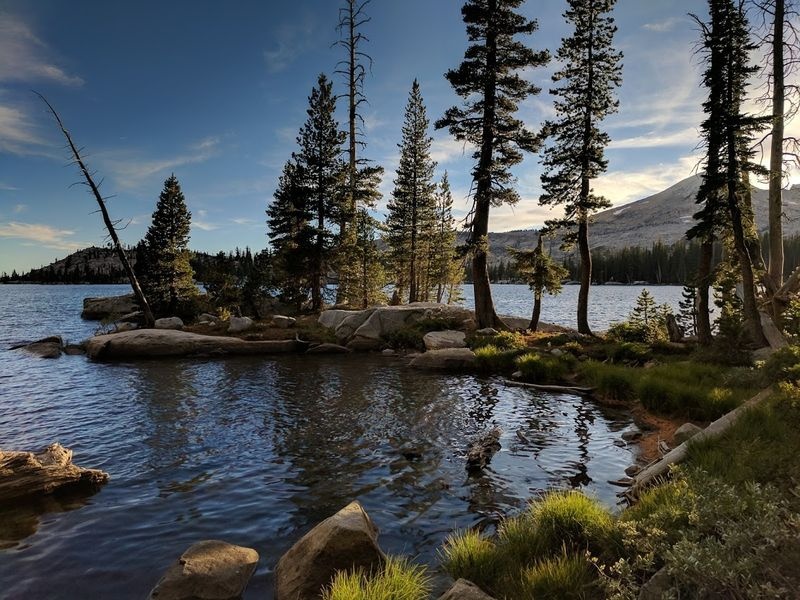 anh chup bang google pixel anh 11