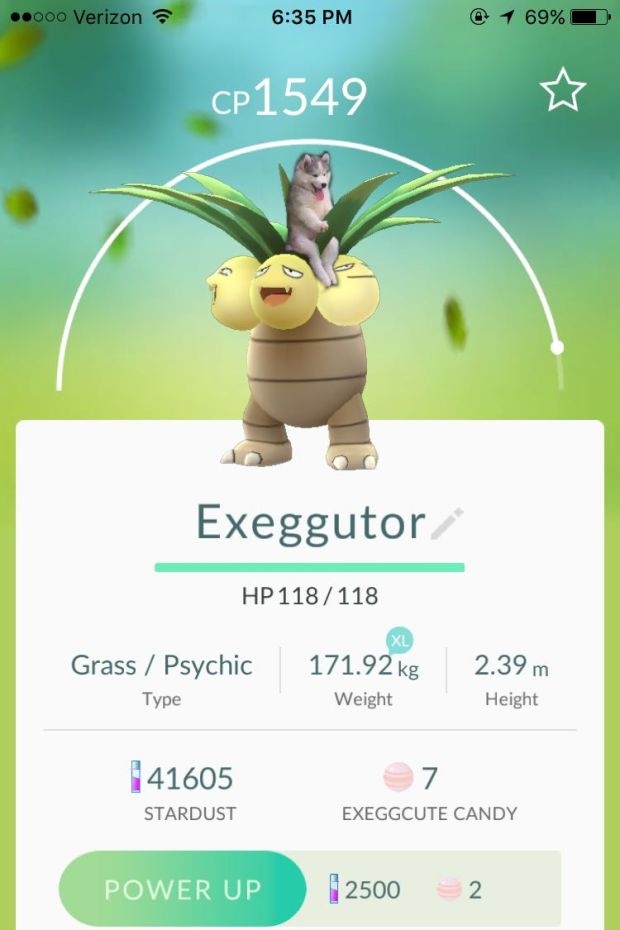 ảnh chế chó Husky kẹt trên dừa ảnh 10 anh che cho Husky ket tren dua anh 10