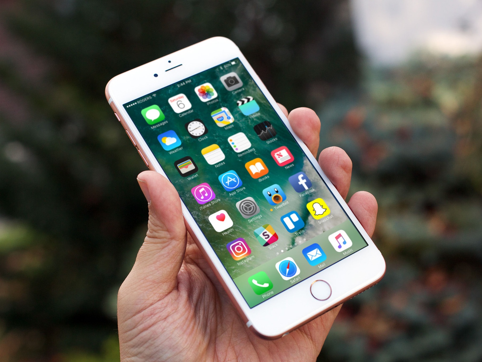 iPhone 8 chỉ 1 model có màn hình OLED ảnh 1 iPhone 8 chi 1 model co man hinh OLED anh 1