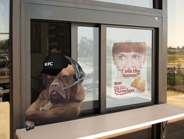 ảnh chế chó ngồi xe tải ảnh 3 anh che cho ngoi xe tai anh 3