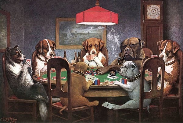 ảnh chế chó ngồi xe tải ảnh 4 anh che cho ngoi xe tai anh 4