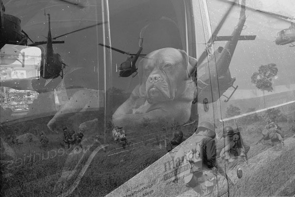 ảnh chế chó ngồi xe tải ảnh 7 anh che cho ngoi xe tai anh 7