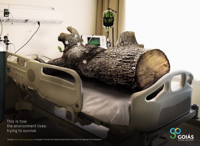 quảng cáo trên mạng xã hội ảnh 4 quang cao tren mang xa hoi anh 4