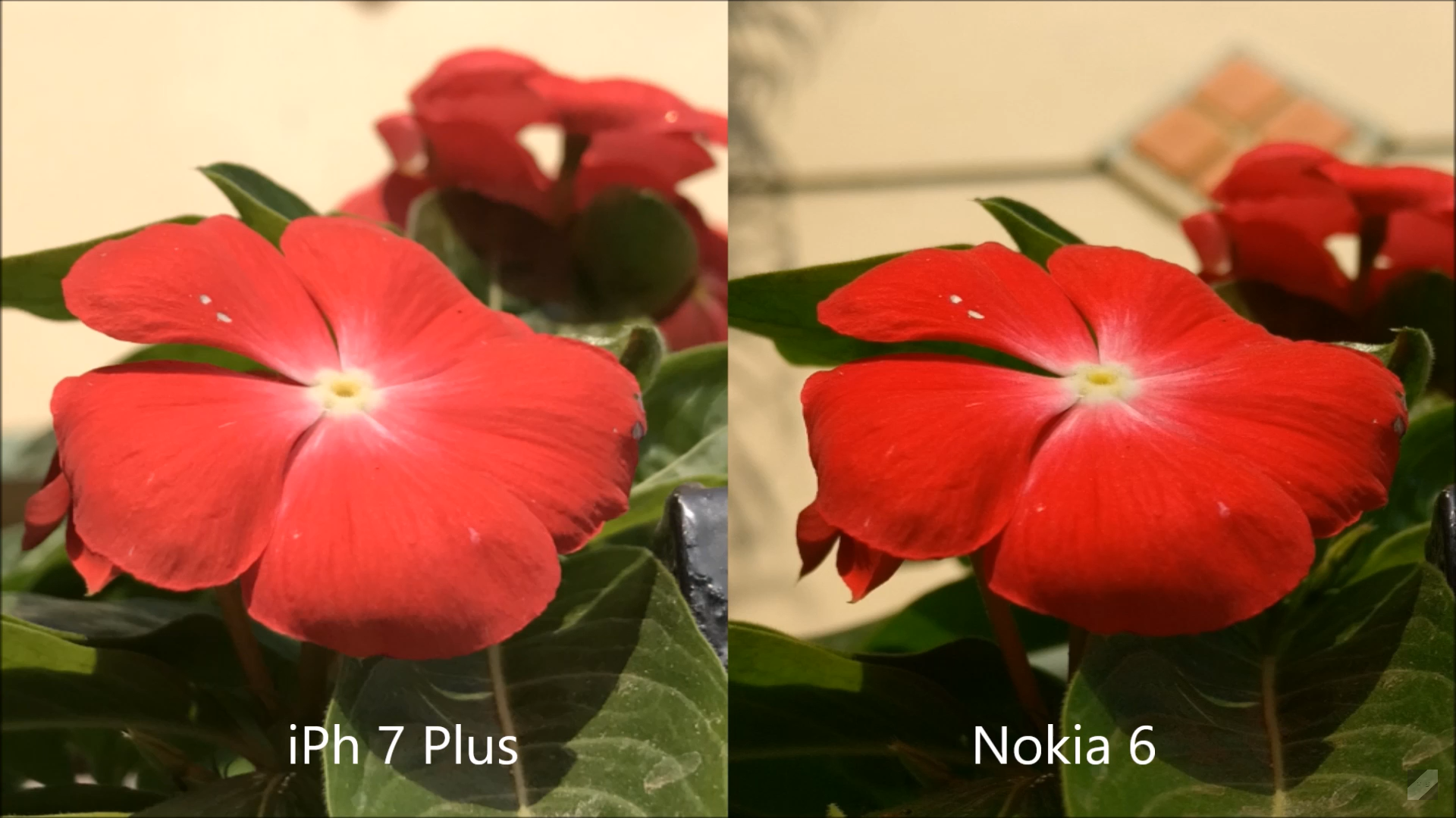 camera iPhone 7 Plus va Nokia 6 anh 1