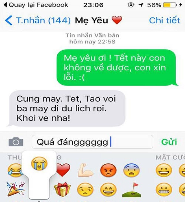 tin nhan ba dao cua me anh 4