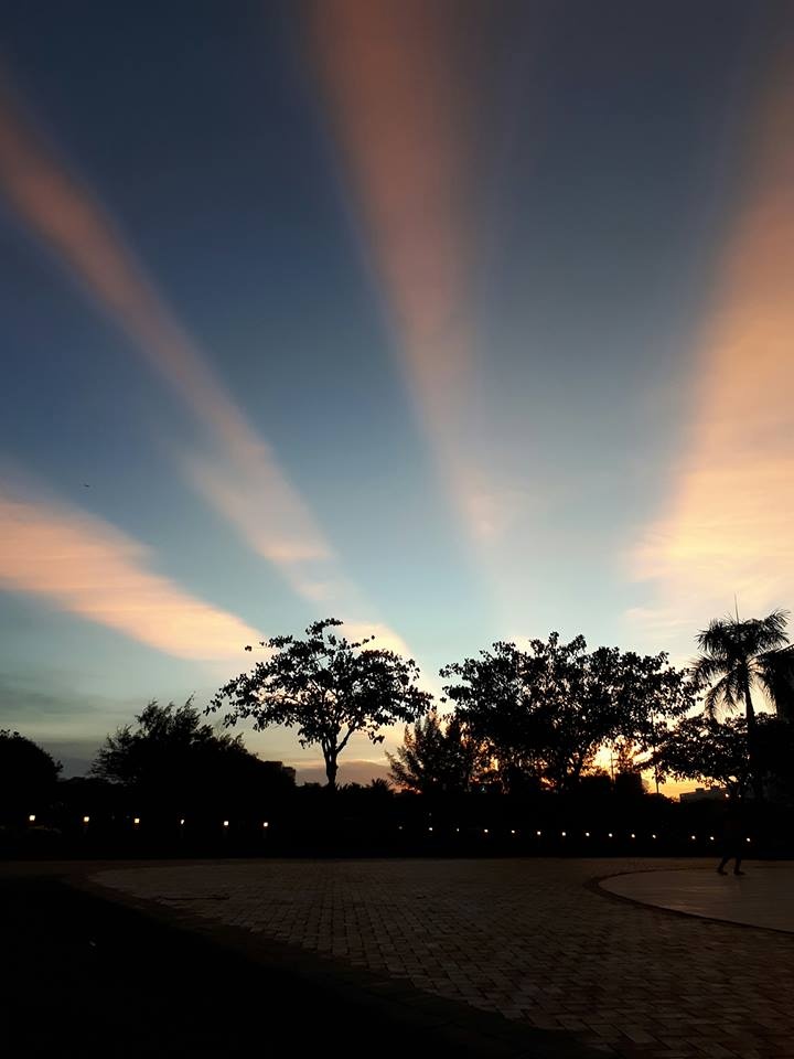 anh sang la xuat hien tren bau troi anh 7