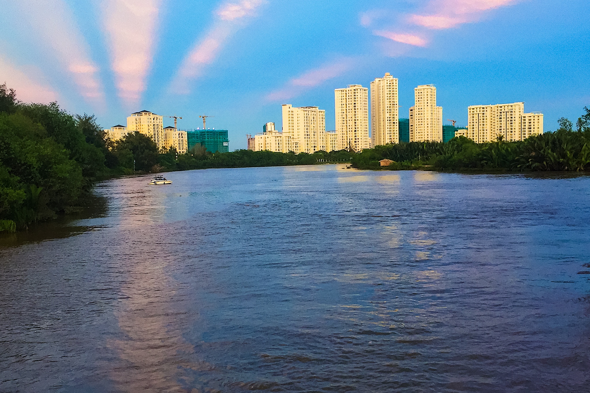 anh sang la xuat hien tren bau troi anh 3