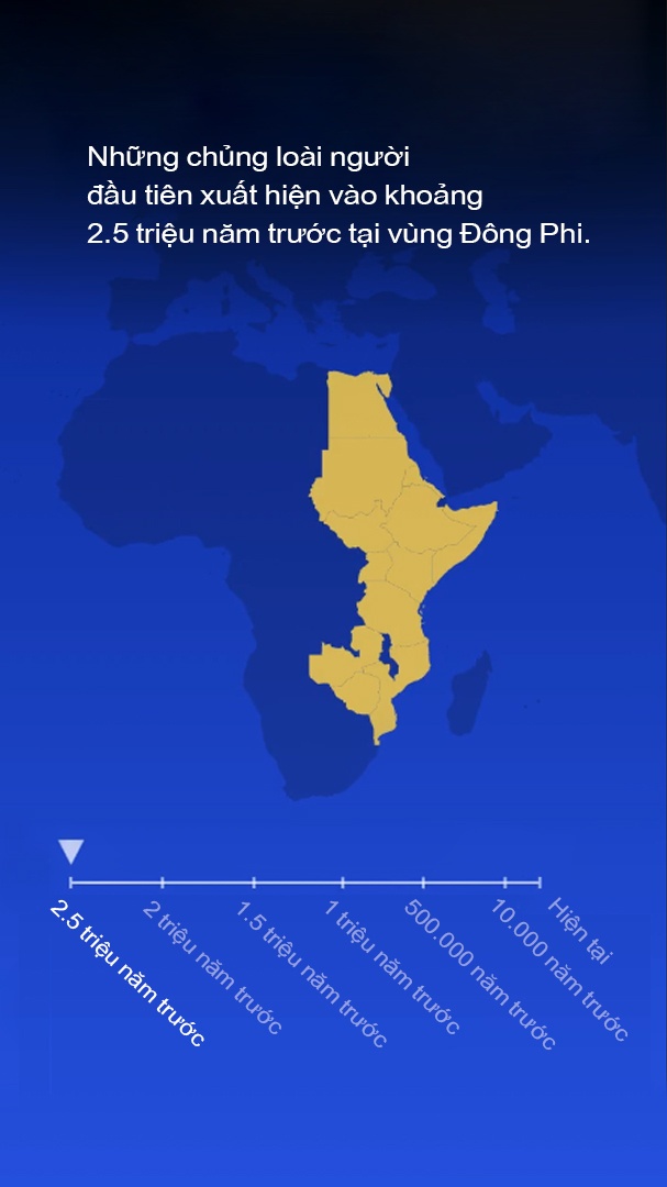 luoc su loai nguoi anh 13