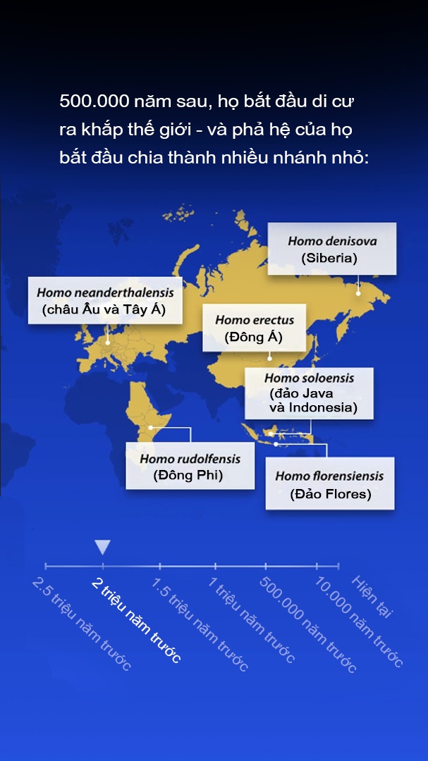 luoc su loai nguoi anh 14