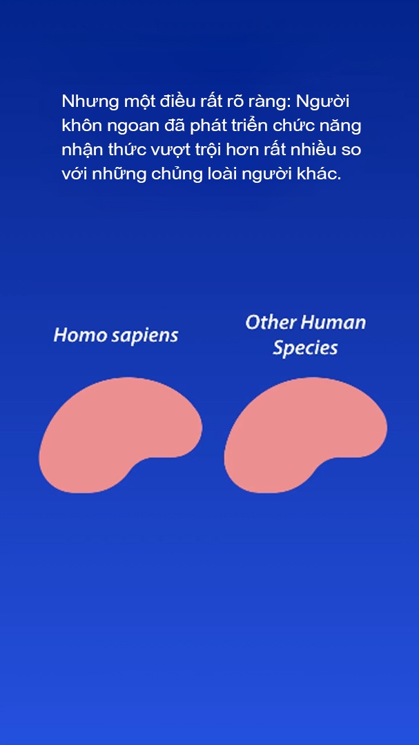 luoc su loai nguoi anh 32