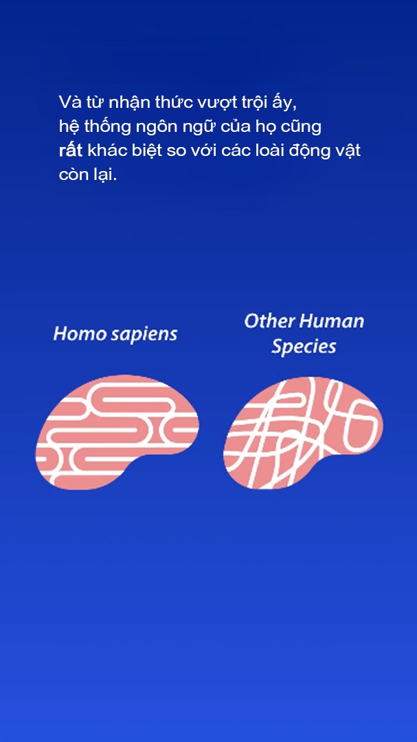 luoc su loai nguoi anh 34