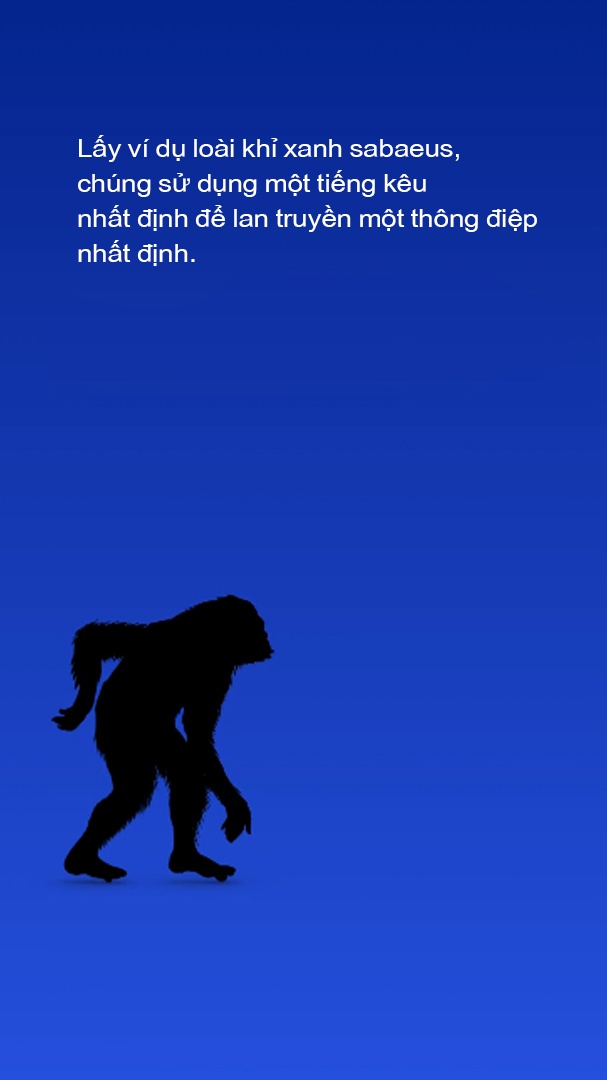 luoc su loai nguoi anh 35