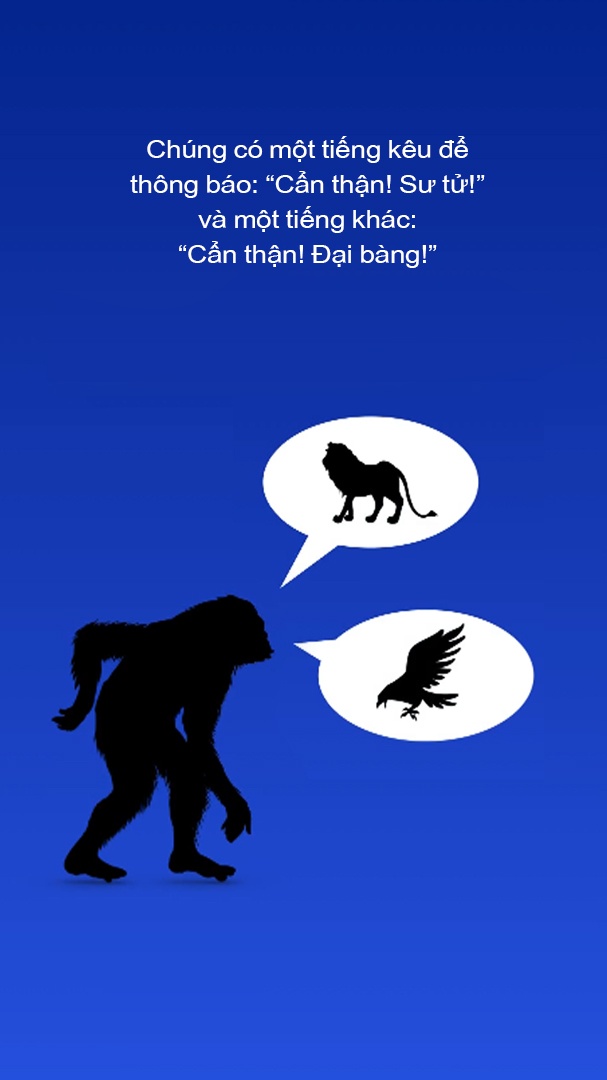 luoc su loai nguoi anh 36