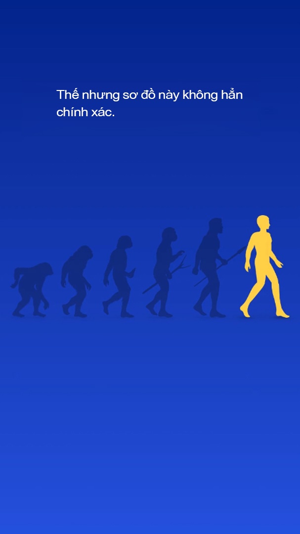 luoc su loai nguoi anh 5