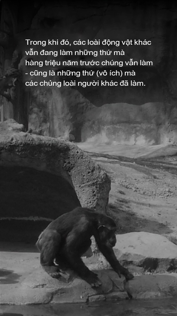 luoc su loai nguoi anh 60