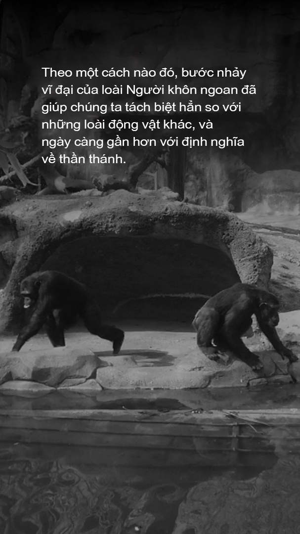 luoc su loai nguoi anh 61