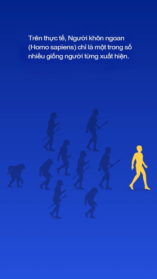 luoc su loai nguoi anh 7