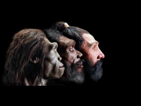 Vi sao con nguoi thong tri Trai Dat? hinh anh