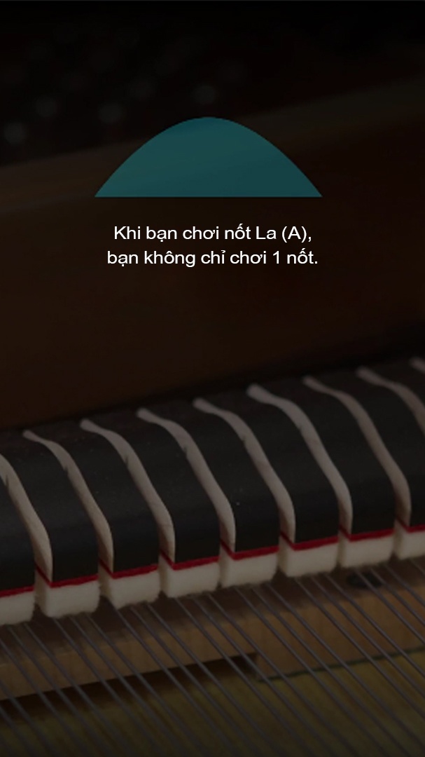 vi sao chung ta thich am nhac anh 23