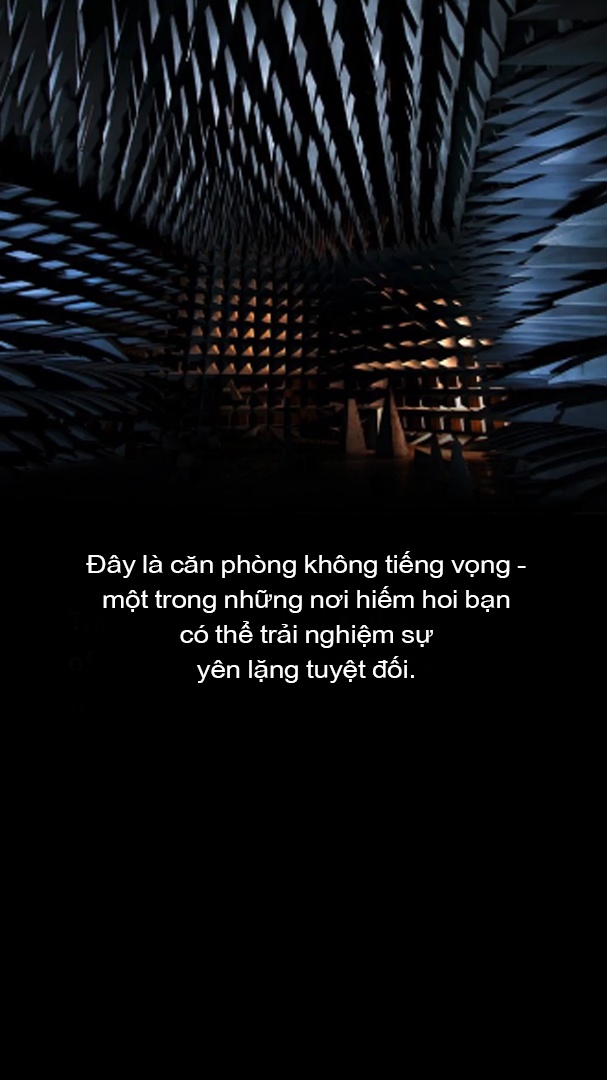 vi sao chung ta thich am nhac anh 2