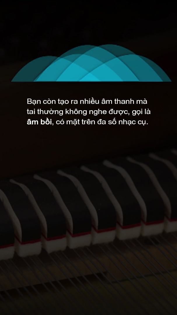 vi sao chung ta thich am nhac anh 24