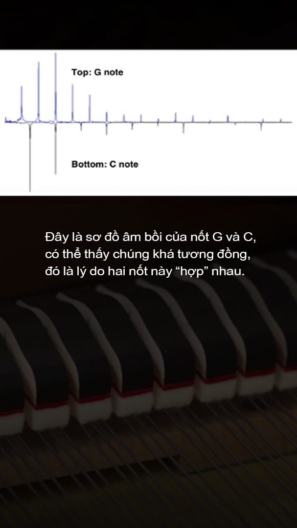vi sao chung ta thich am nhac anh 25