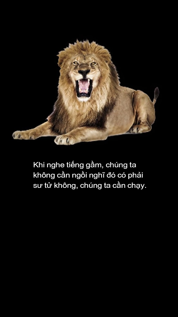 vi sao chung ta thich am nhac anh 36