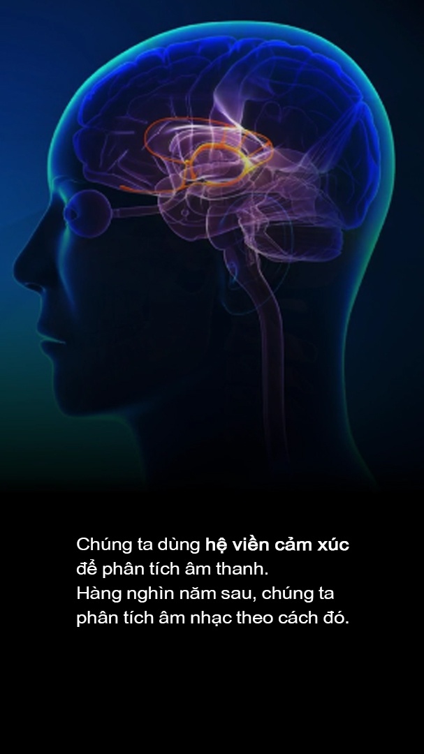 vi sao chung ta thich am nhac anh 37