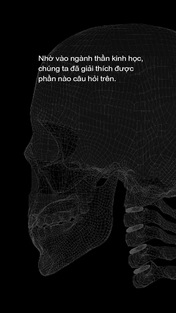 vi sao chung ta thich am nhac anh 10