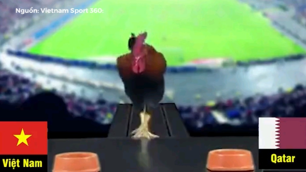 Chu ga du doan ket qua U23 Viet Nam - U23 Qatar hinh anh