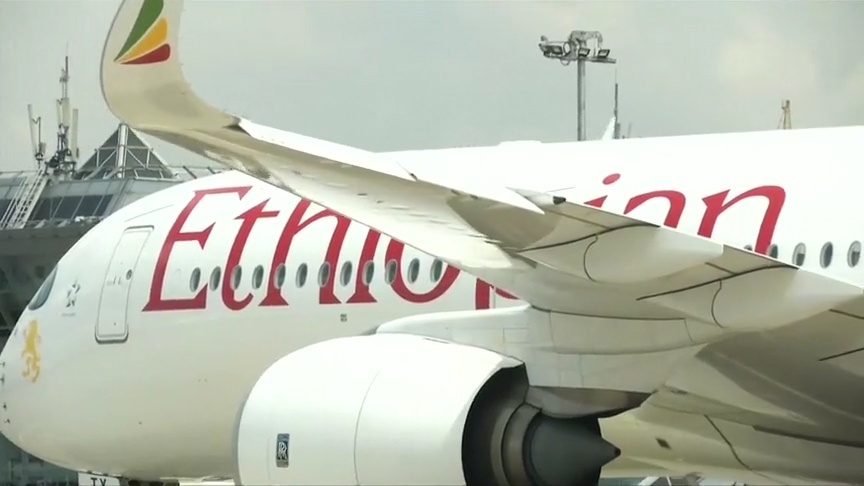 Mat lien lac sau 6 phut, may bay Ethiopia roi lam 157 nguoi chet hinh anh