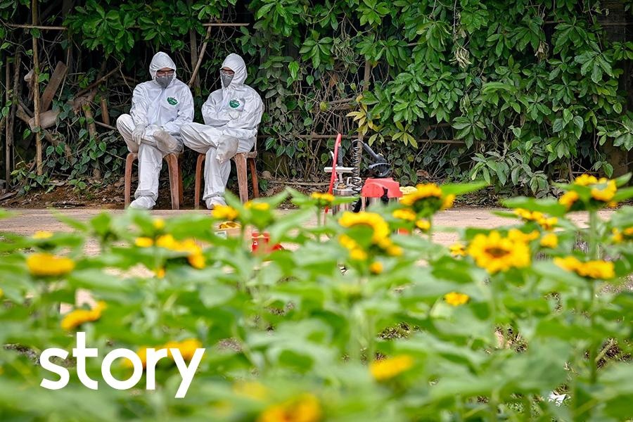 Toan canh 100 ngay chong dich Covid-19 tai Viet Nam hinh anh