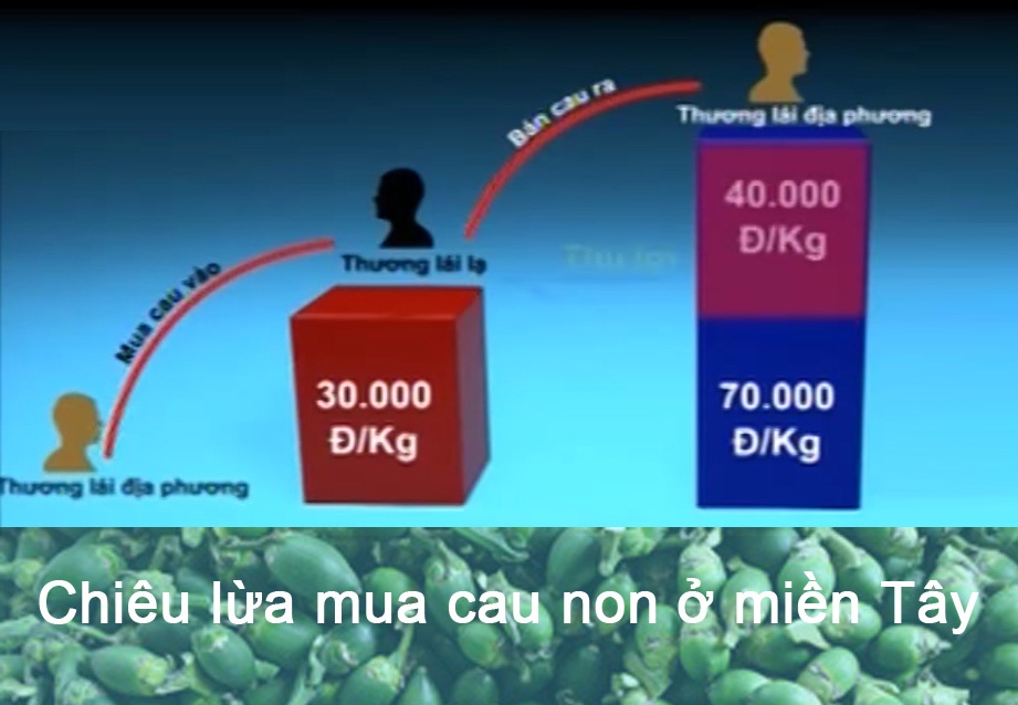Lat tay chieu lua mua cau non o mien Tay hinh anh