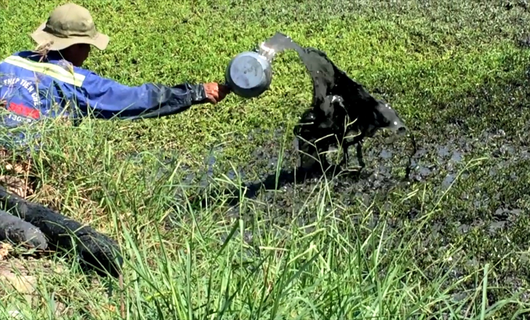 Cong nghe trong rau bang dau nhot, hoa chat hinh anh