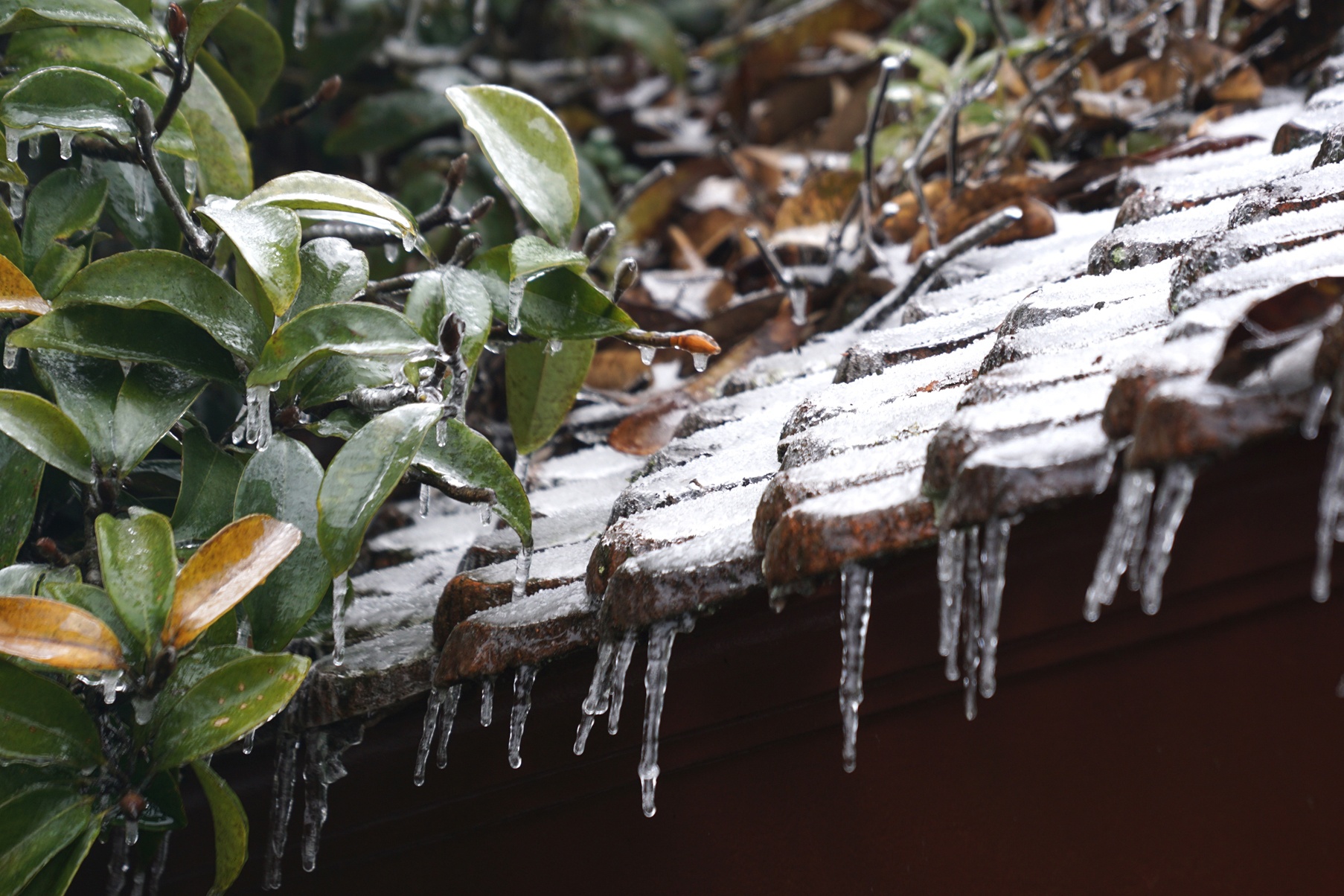 Tuyet roi o ngoai thanh Ha Noi hai ngay chua tan hinh anh