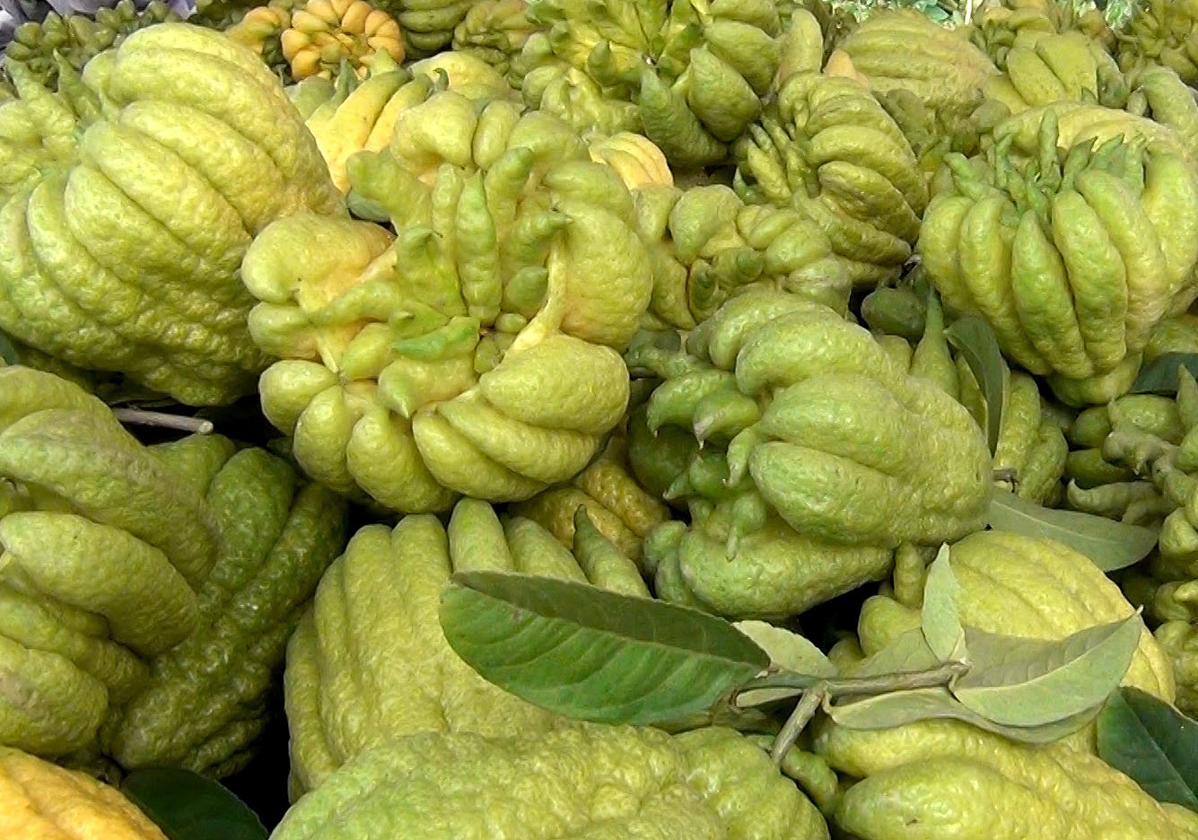 Trong phat thu vu Tet, nguoi Dac So thu 150 ty dong hinh anh