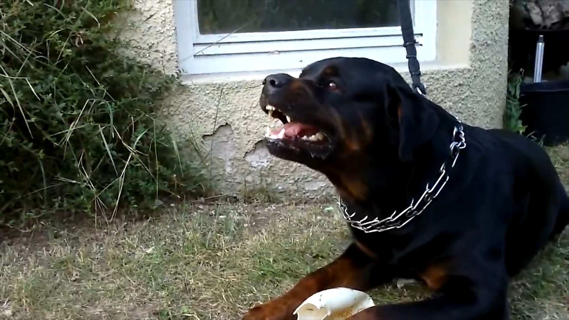 Lam gi khi bi cho du tan cong? hinh anh