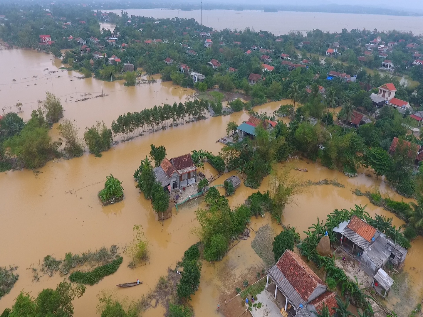 Nguoi dan thap thom khi song chung voi lu hinh anh