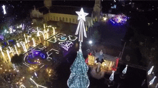 Chiem nguong cay thong Noel cao 41 met tu camera bay hinh anh