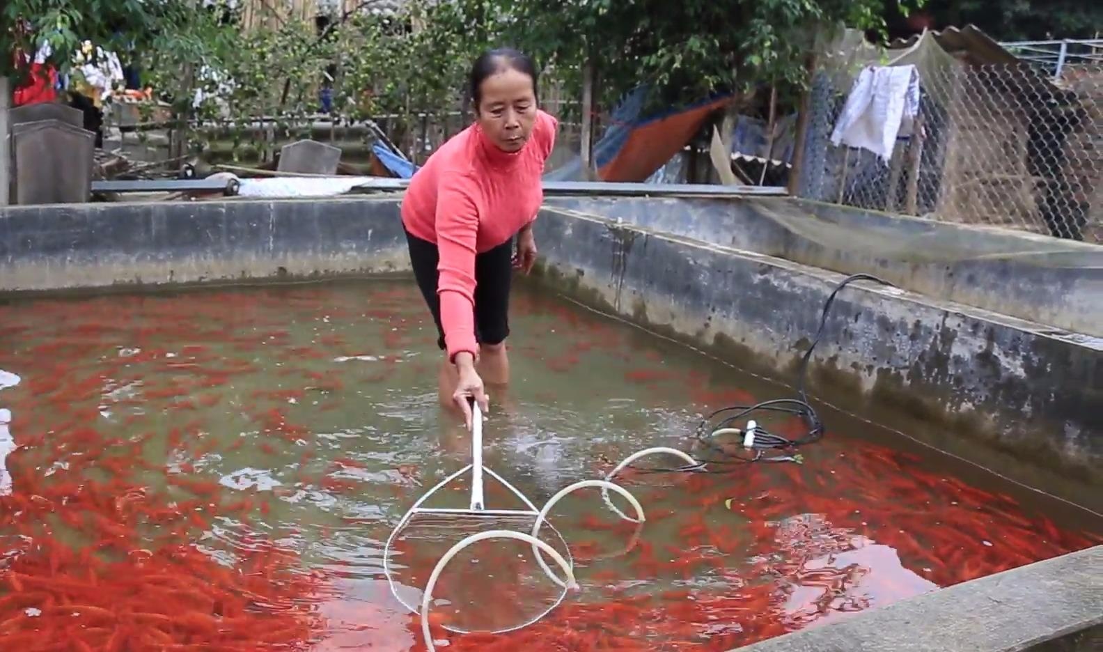 Doi doi nho nuoi ca chep do hinh anh