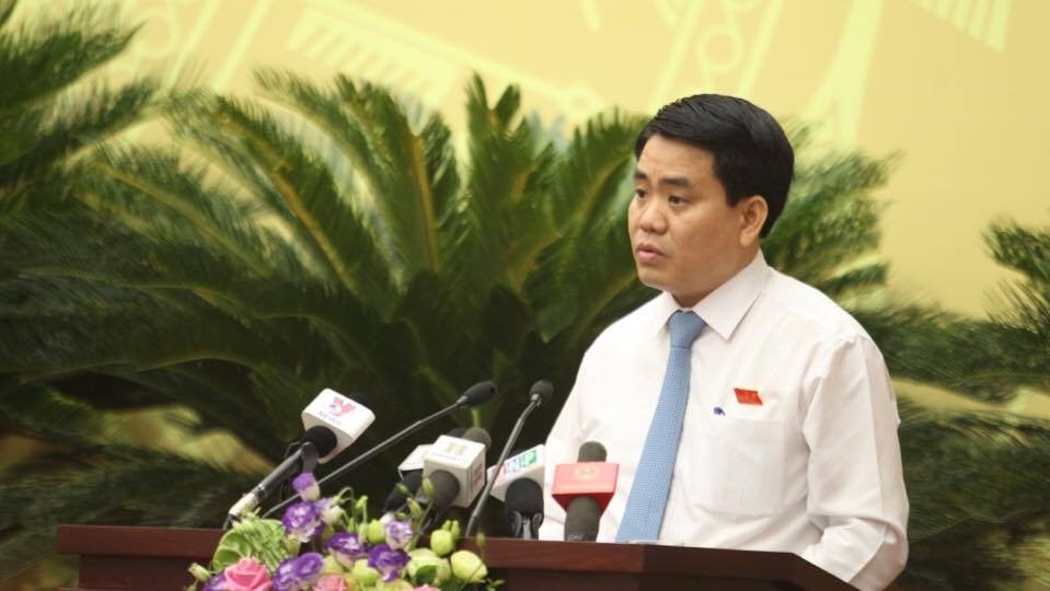 Khong co chu truong thay the cay xanh quanh ho Guom hinh anh