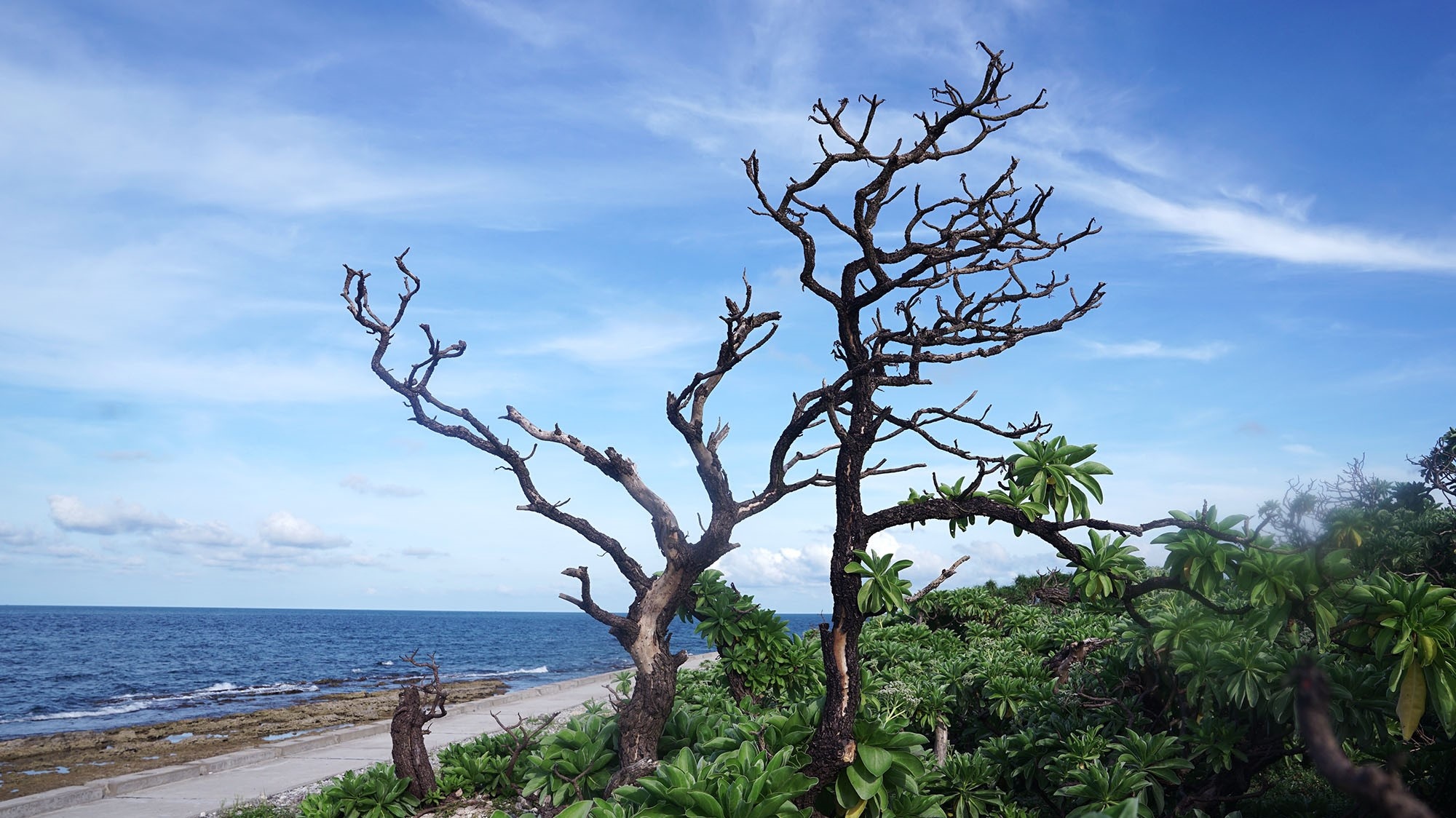 Phuot dao 'mat than' cua phuong Bac hinh anh