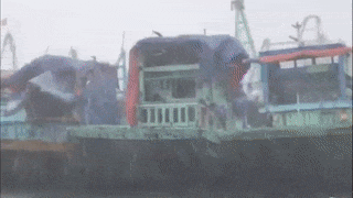 Mua gio du doi khi bao giat cap 15 do bo mien Trung hinh anh