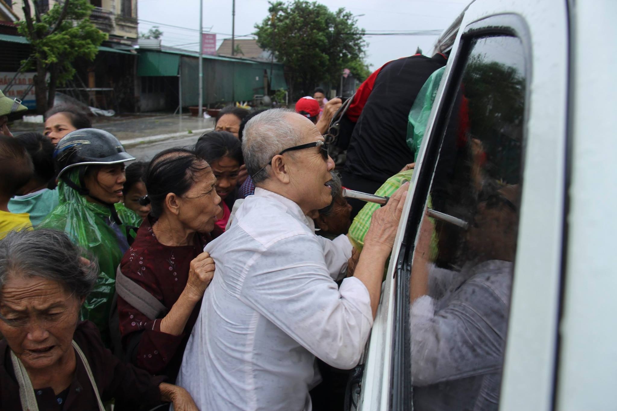 Dan bo noi tru an ve nha khi bao so 10 con hoanh hanh hinh anh