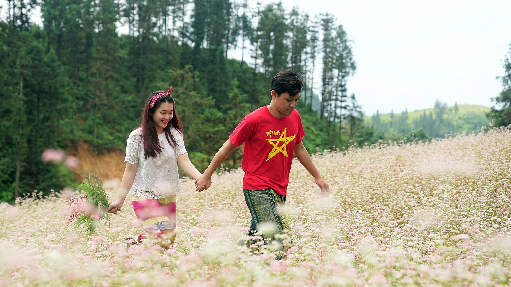 'Check-in' canh dong hoa tam giac mach no som nhat Tay Bac hinh anh