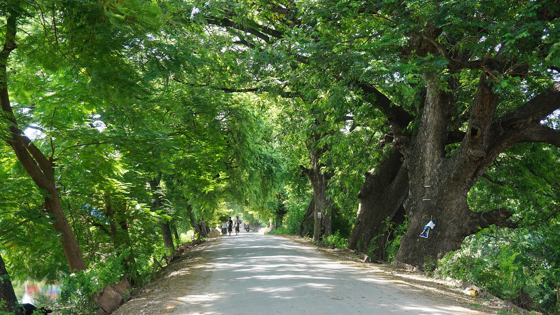 Kham pha Myanmar anh 11