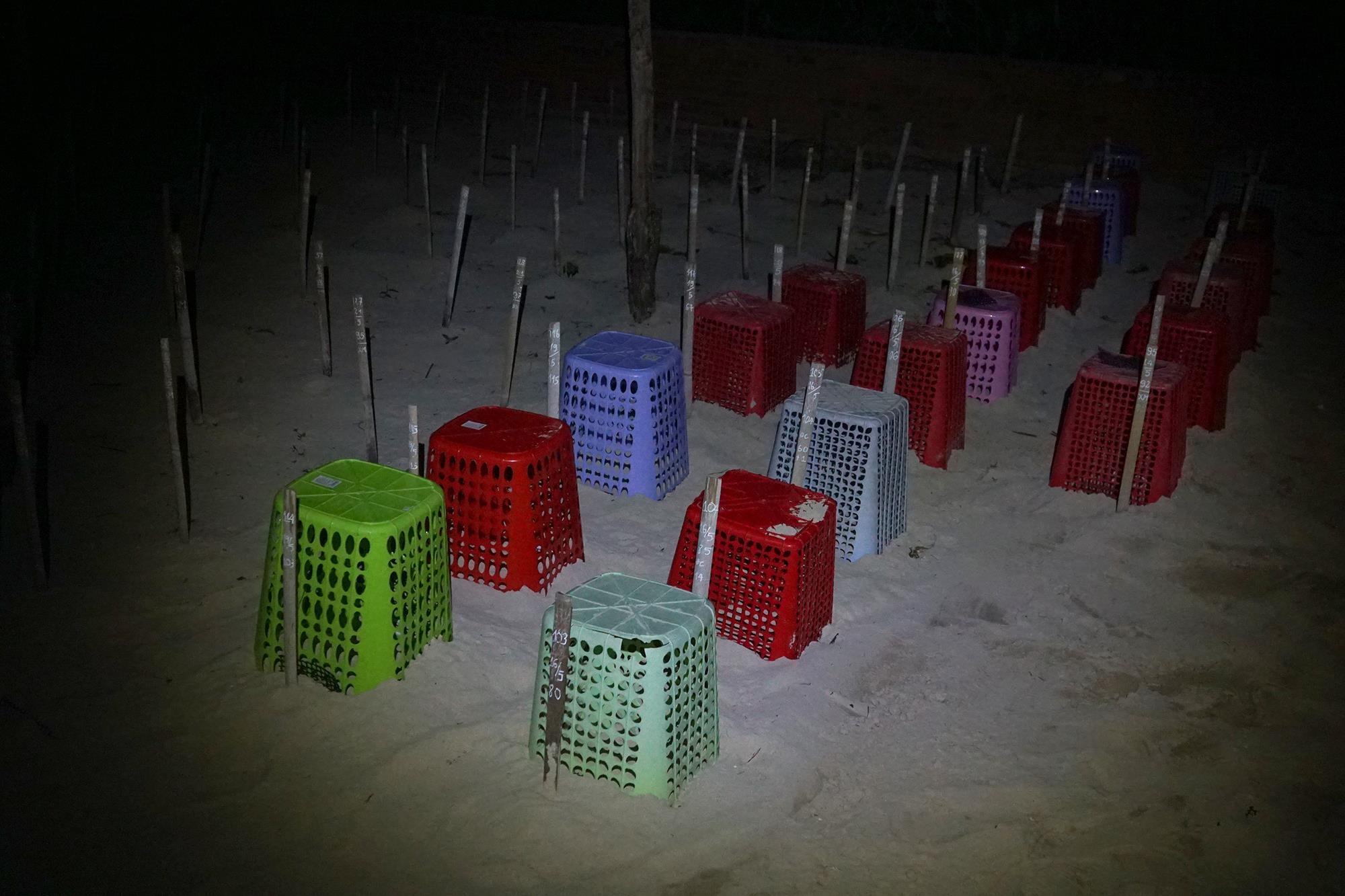 Cuu ho rua bien Con Dao anh 27