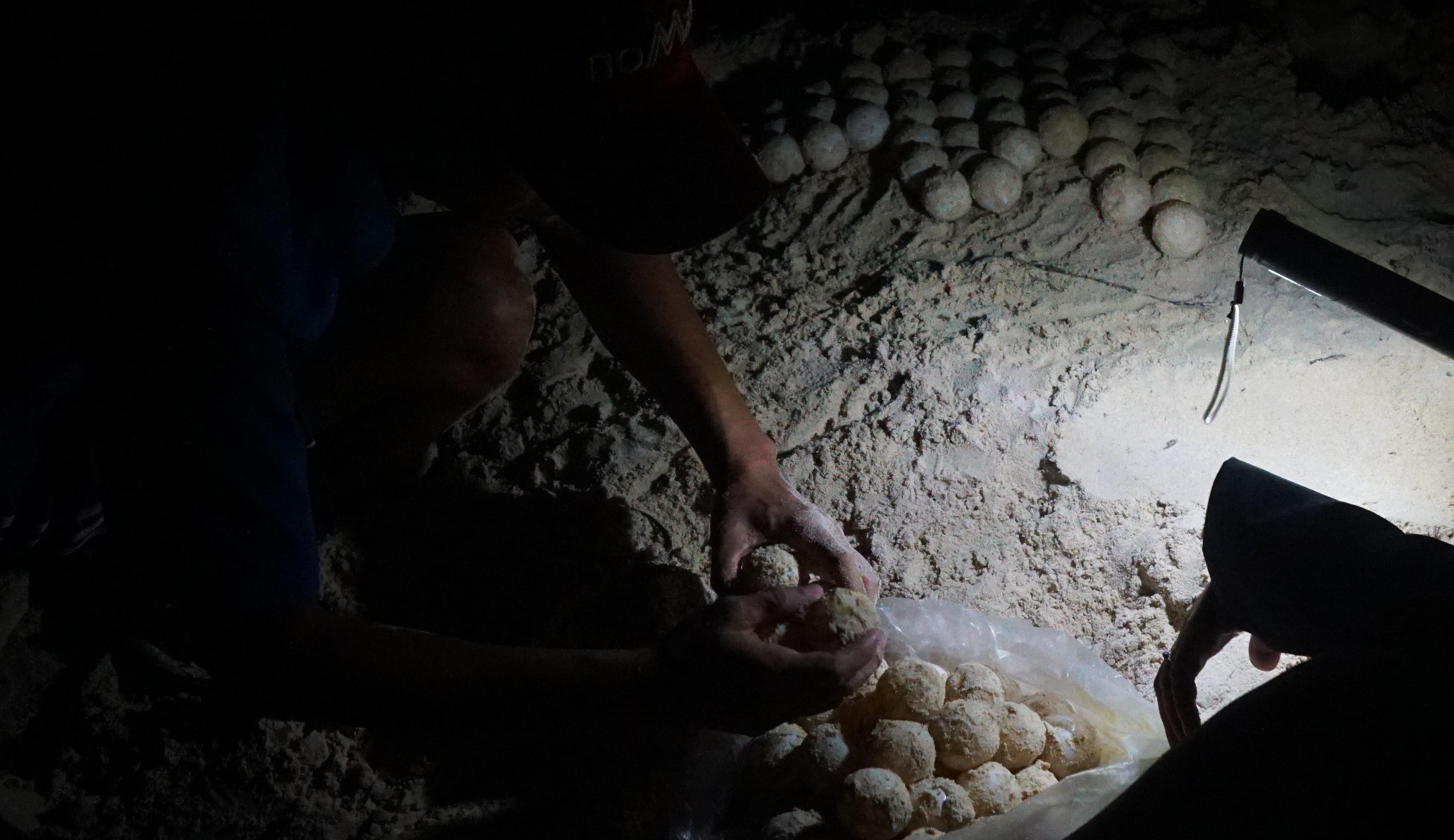 Cuu ho rua bien Con Dao anh 24